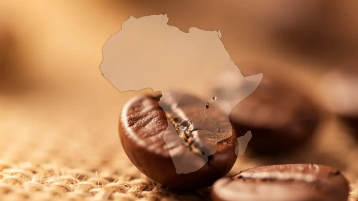 Close-up van een koffieboon met een subtiele hint van de Afrikaanse continentkaart op de achtergrond, zachte, warme belichting, geringe scherptediepte. Focus op de boon, symbool voor herkomst en kwaliteit.
