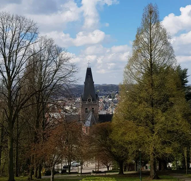 Code oranje voor wind: parken en bossen in Geraardsbergen afgesloten