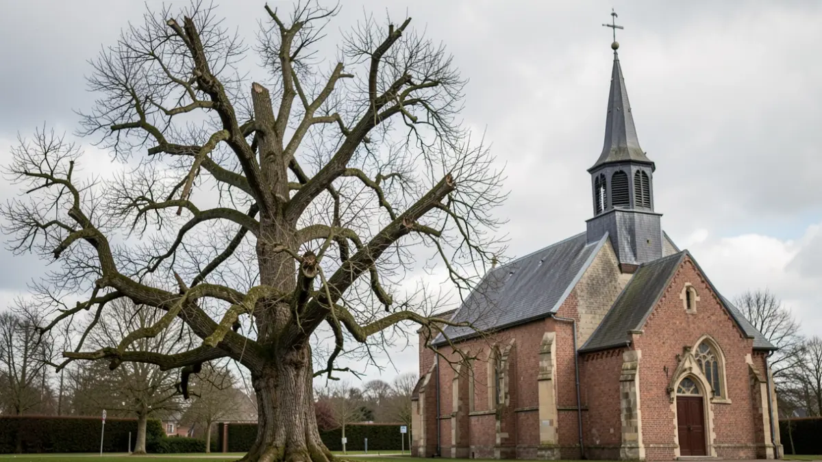 Generic image of an old, Belgium, with a sense of impending action.