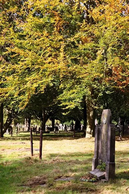 Groene transformatie van Geelse begraafplaatsen: rust en natuur centraal