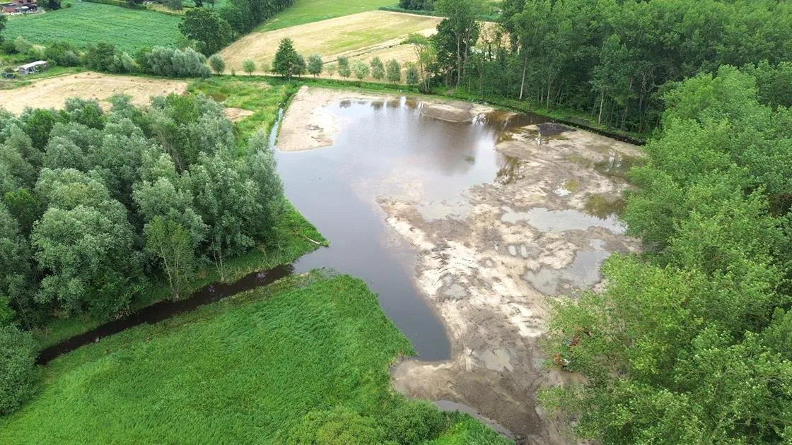 Springbos in Goorbosbeekvallei hersteld tot natuurlijk moeras