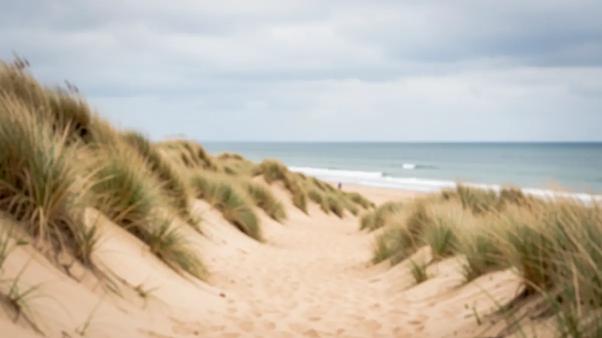 Generic image of dunes on the Belgian coast with a path leading to the sea.